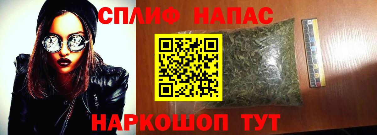 Бошки Шишки планчик Конаково